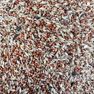 10斤鸽子清除饲料信鸽换毛期专用幼鸽鸽粮肉观赏鸽斑鸠鸟食