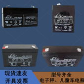 12电子秤 LEOCH理士蓄电池DJW6 DJW6 童车6V储能电瓶
