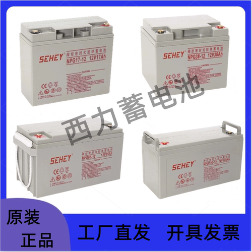 SEHEY西力阀控式铅酸12V全新电池
