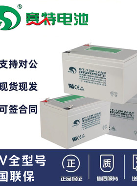 赛特蓄电池BT-12M20AC铅酸免维护12V10A17A38A55A65A120A200A储能