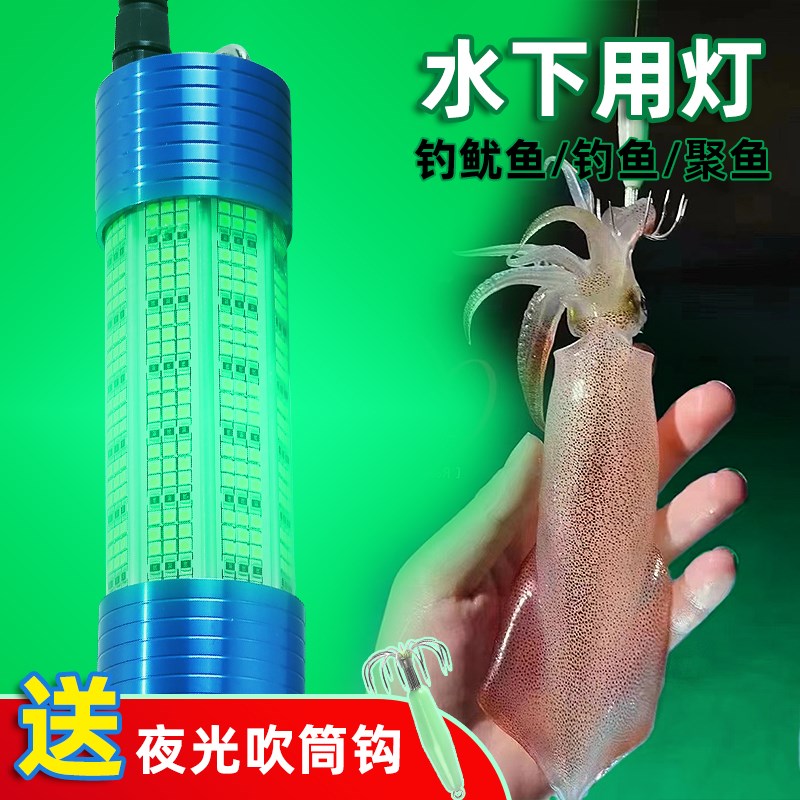 夜钓水下鱿鱼灯大功率12V带x鱼诱鱼灯LED海钓引鱼集鱼灯船用绿光
