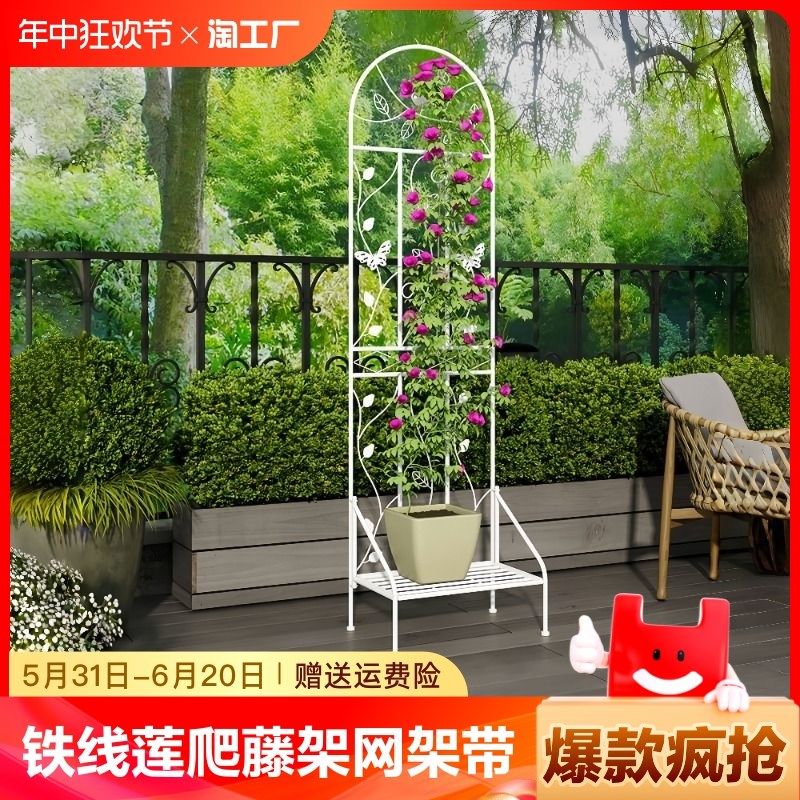 植物花架爬藤架网架带底座花盆置物庭院阳台月季攀爬牵引架铁艺