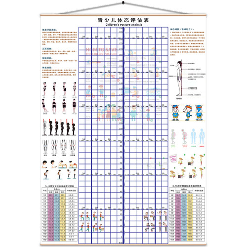 儿童身高体态评估表站姿体测网格壁画背景墙纸中小幼儿形体评估图