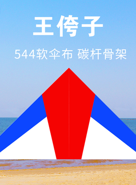 潍坊王侉子544伞布风筝 高档小轻体微风风筝 大型好飞易飞初学者