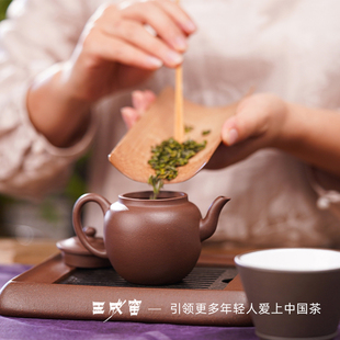 玉成窑非遗喫茶得福莲子壶宜兴原矿紫泥紫砂壶高端茶具紫砂茶壶