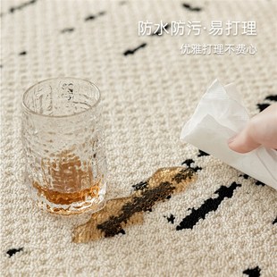 奶油风沙发家用茶几毯防水防污卧室免洗可擦地垫 客厅地毯2024新款