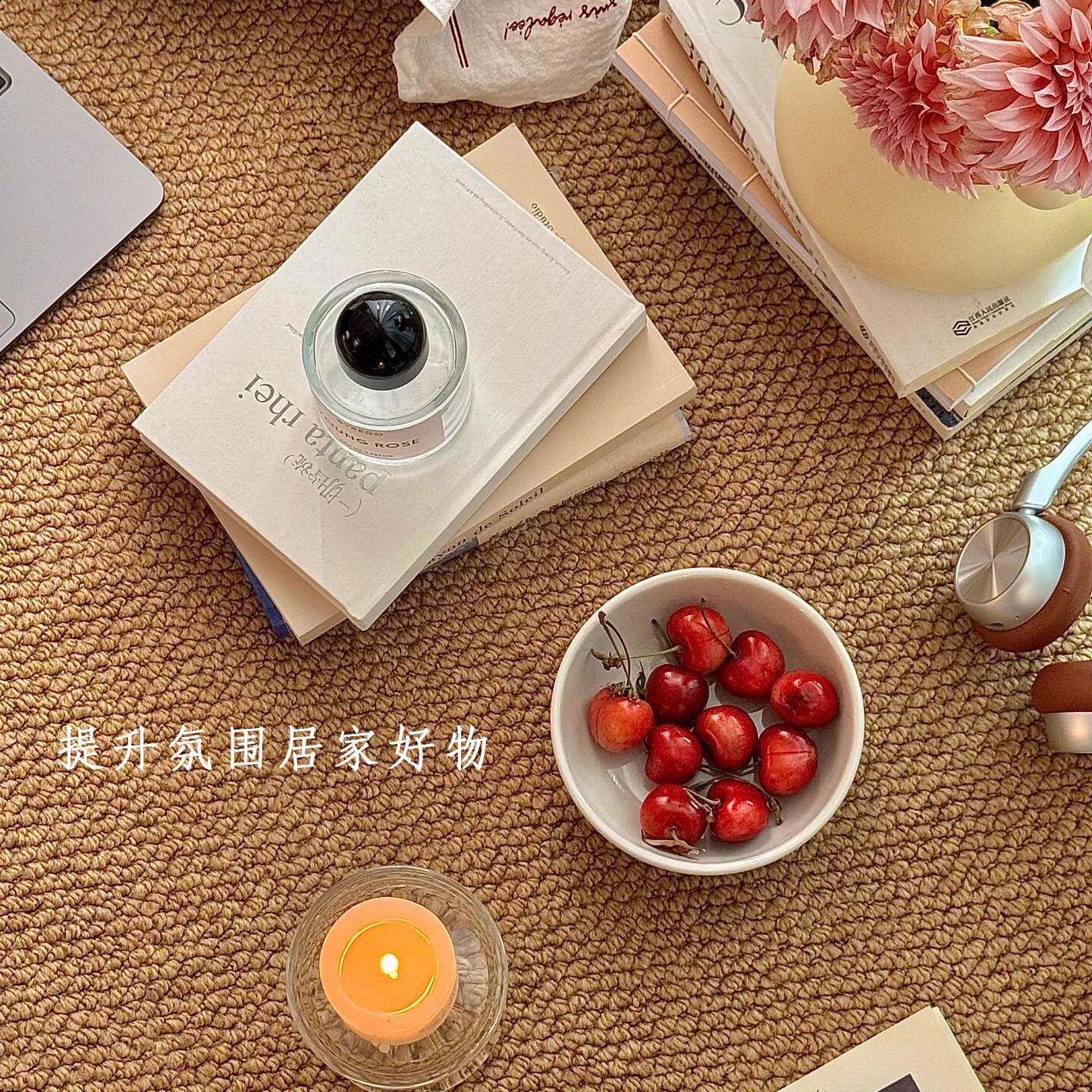 摄影棚专用剑麻地毯客厅2025新款防猫抓原木风家用纯色免洗可擦