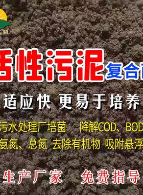 活性污泥菌种好氧池厌氧生化系统启动培菌微生物覆合污水处理菌剂