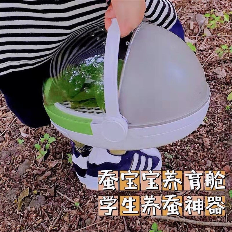 养蚕箱七彩蚕宝宝养育仓太空舱房子别墅的盒子养殖箱窝昆虫观察盒