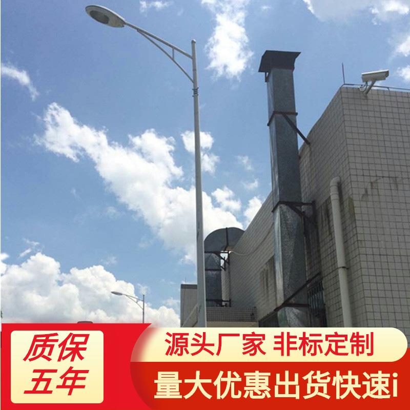 led路灯户外100W120W150W8米10米12米高灯杆小区景区道路景观照明