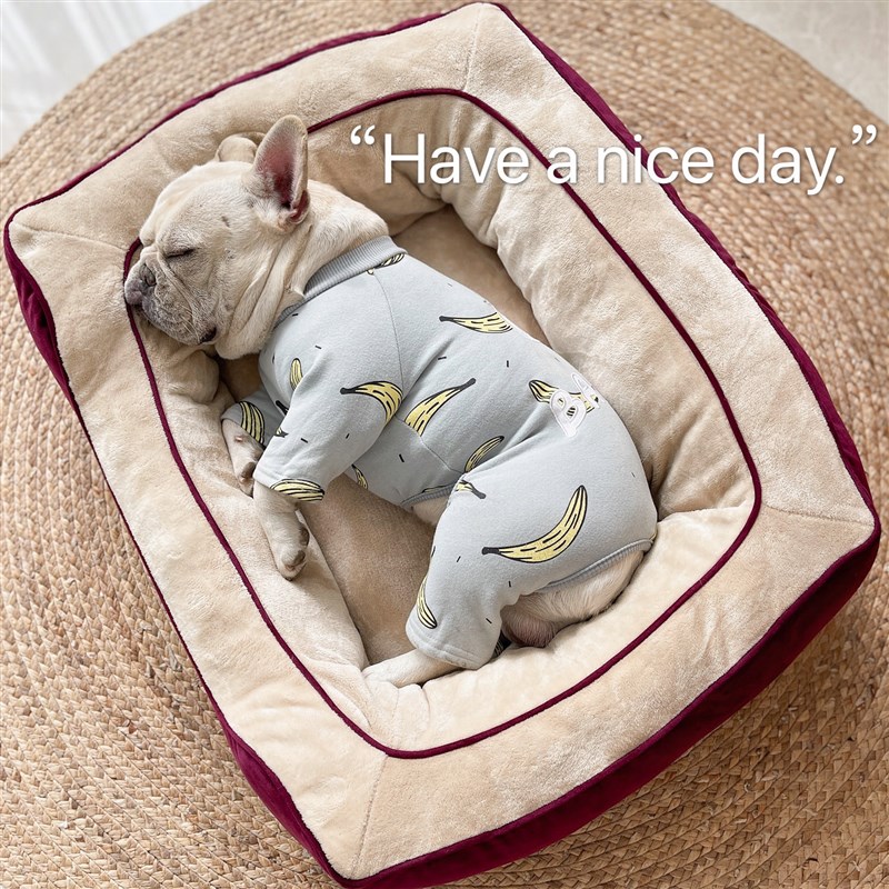 方形狗窝猫窝法斗垫子四季厚实保暖宠物睡床狗垫猫垫中小型狗床厚