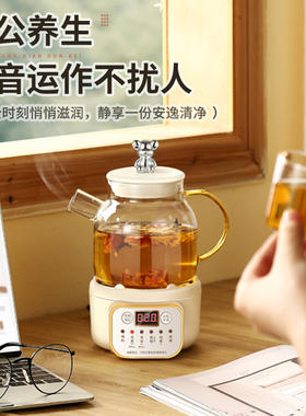 多功能办公室小型养生壶mini煮茶器煮茶壶迷你Q电茶炉分体式花茶