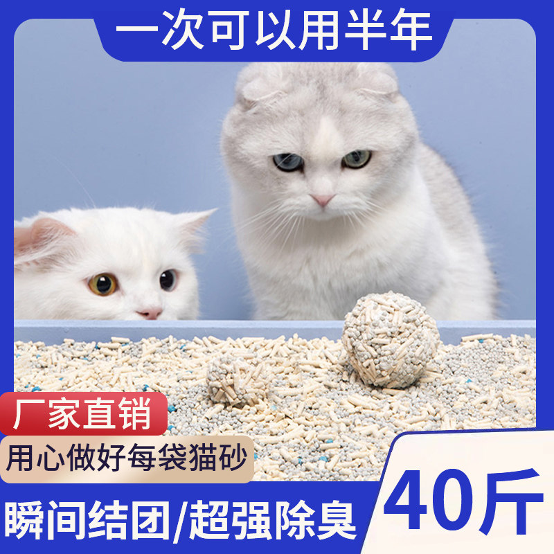 猫砂豆腐猫砂包邮20公斤除臭无尘实惠装40斤10活性炭猫沙猫咪用品
