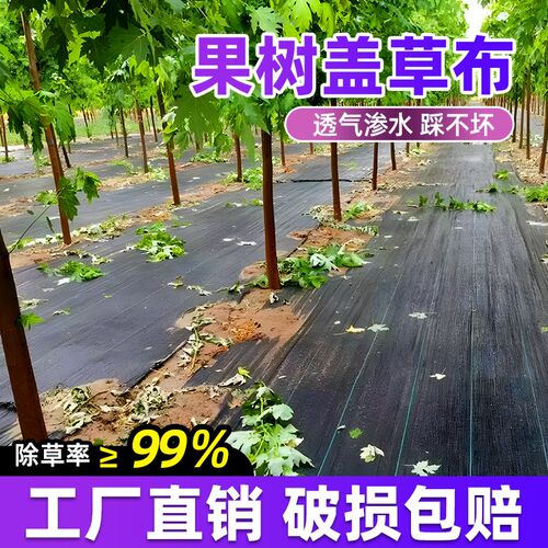 果树盖草布抗老j化防草布除草布果园农用耐用地布除草保湿地膜地