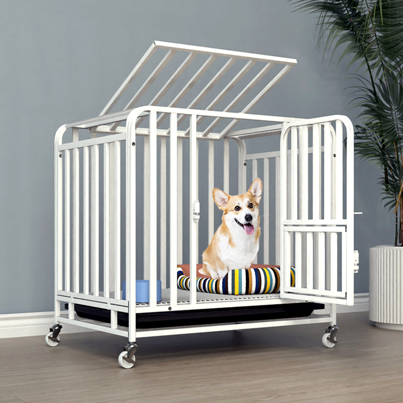 狗笼子中型犬室内小型犬带厕所柯基泰迪狗窝金毛大型犬宠物围栏