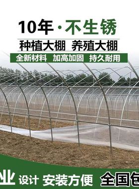 大棚骨架种植大棚温室加厚养殖种植户外家用连体连栋椭圆管棚全套