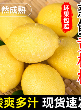 黄柠檬新鲜水果包邮精选皮薄一级酸柠檬黄皮柠檬奶茶店饮品柠檬