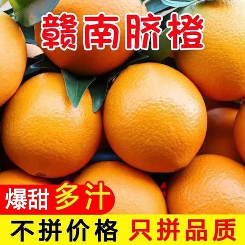 正宗赣南脐橙新鲜脐橙当季水果橙子手剥果冻橙子甜橙大果整箱