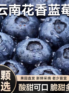 云南花香蓝莓新鲜水果果园直发酸甜可口脆甜多汁当季现摘L25蓝莓