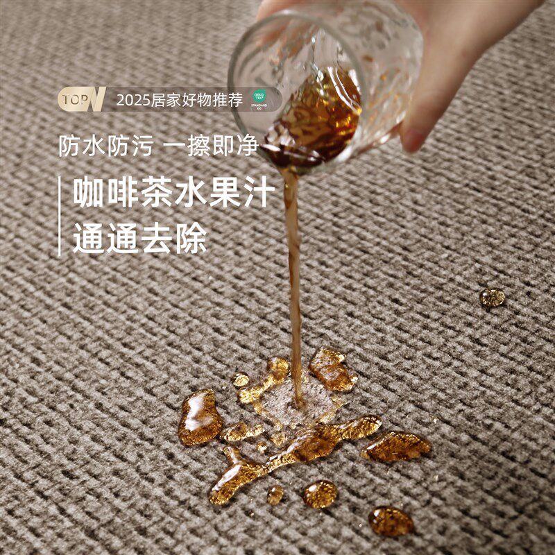 地毯客厅2025新款摄影棚高级感免打理家用沙发地垫卧室大面积全铺