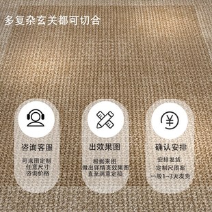 门口入户进门地垫家用玄关门垫客厅地毯纯色仿剑麻垫子防滑脚踏垫