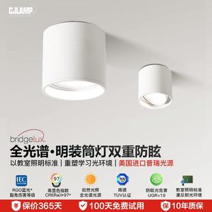 简灯客厅卧室防眩射灯免开孔天花吸顶灯普瑞智能房间无主灯 明装