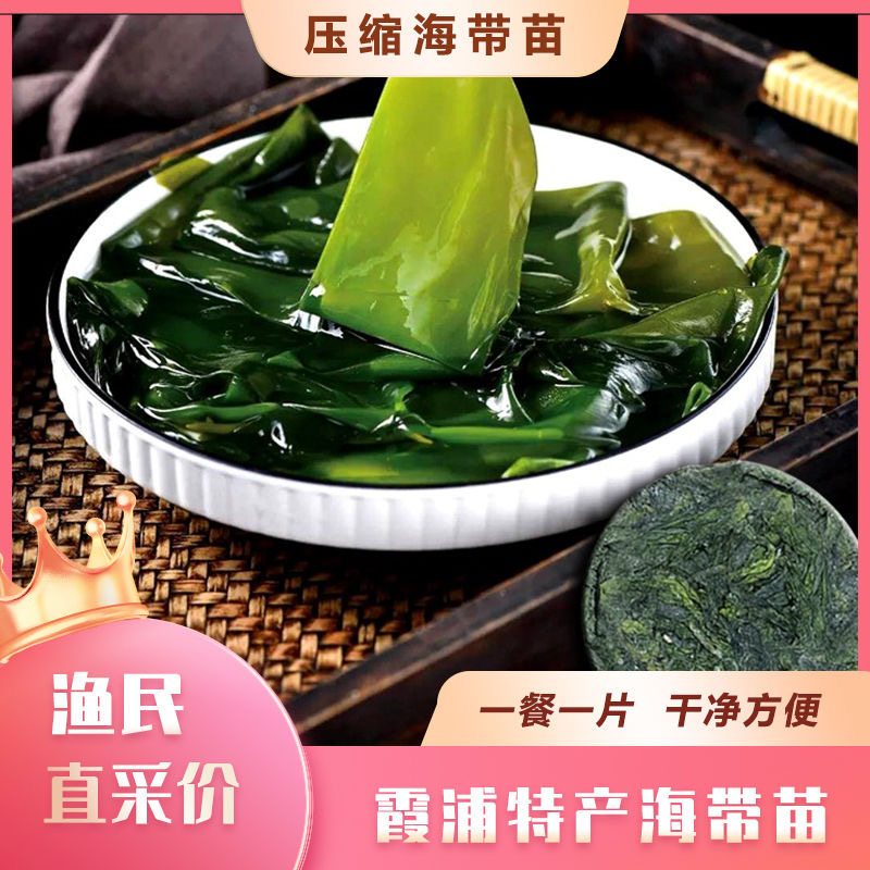 霞浦压缩优海带苗圆饼干货凉拌火锅非海带丝裙带菜海带芽特级干货