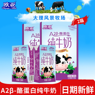 A2B-酪蛋白纯牛奶老少皆宜营养高钙早餐代餐牛奶健身轻食饱腹饮品