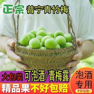 轻加工青梅鲜果泡酒专用青竹梅脆梅新鲜野生酸脆梅子水果精选大果
