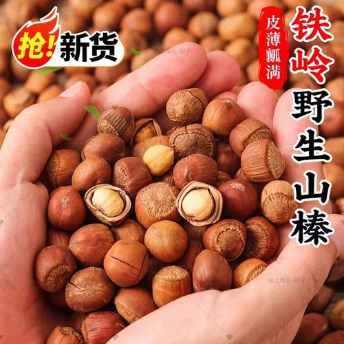 东北野生榛子新货原味薄皮孕妇营养高蛋白坚果零食铁岭特产榛子
