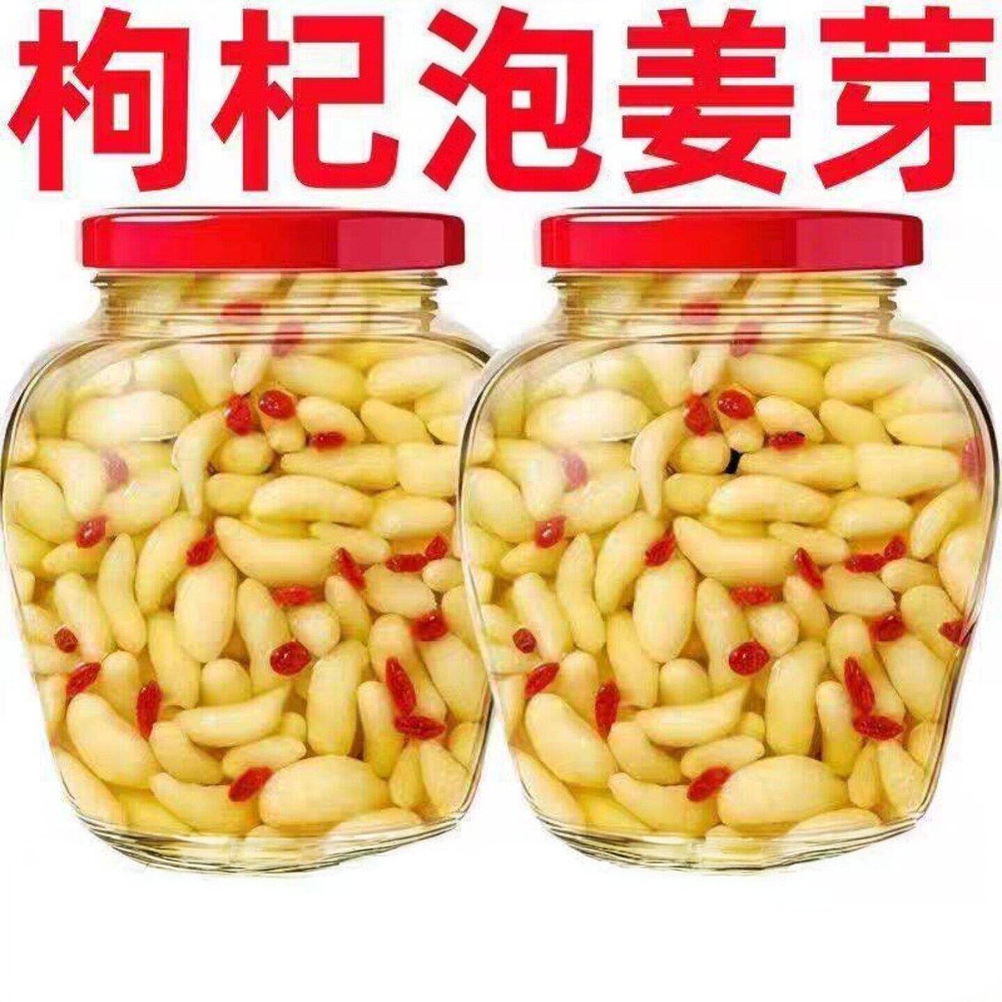 淄博枸杞泡姜芽新鲜嫩姜芽酸甜腌制泡菜下饭菜糖醋生姜片山东特产