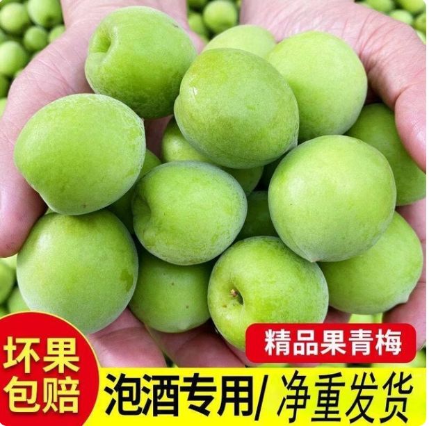 轻加工青梅鲜果泡酒专用精选大果酸甜可口酿酒自酿聚餐搭配佳​