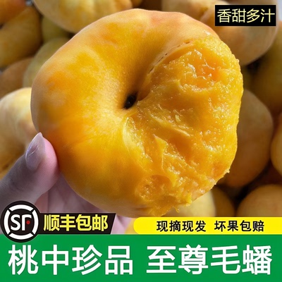 顺丰包邮陕西礼泉黄金毛蟠桃5斤
