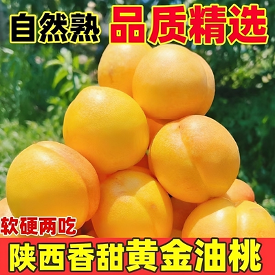 陕西礼泉黄金芒果油桃5斤包邮