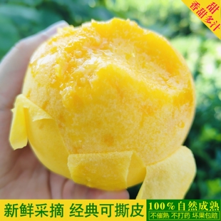 陕西礼泉黄金蜜水蜜桃5斤新鲜包邮黄毛桃脆甜正宗甜桃子孕妇水果
