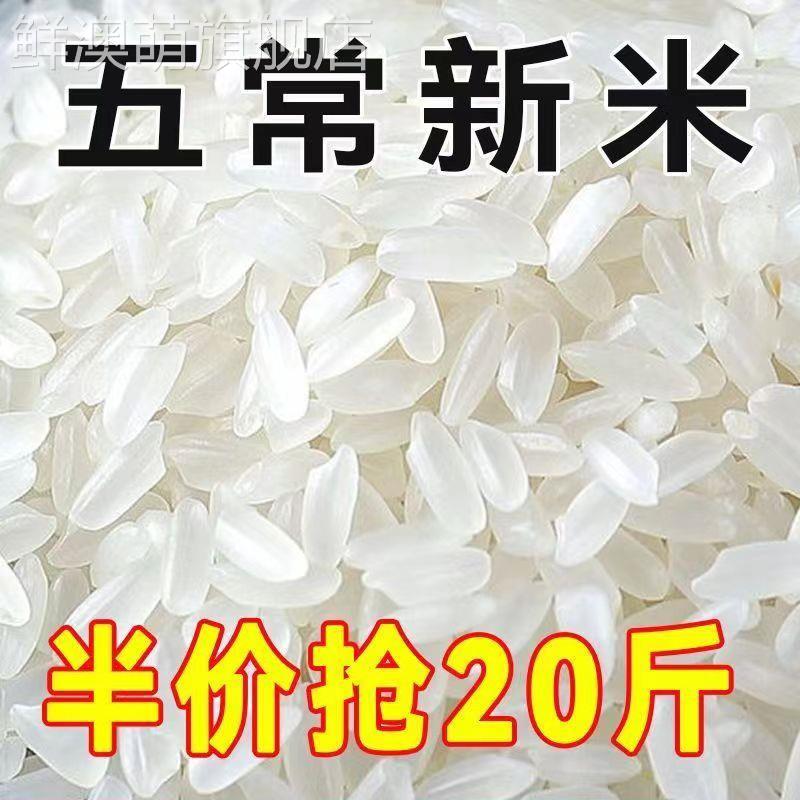 正宗五常稻香米2024年新米五常大米10斤20斤特级东北大米好吃不贵