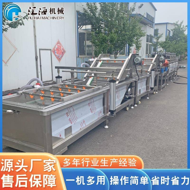 供应盐渍蕨菜气浪清洗机蕨菜气泡喷淋清洗机24小时在线咨询