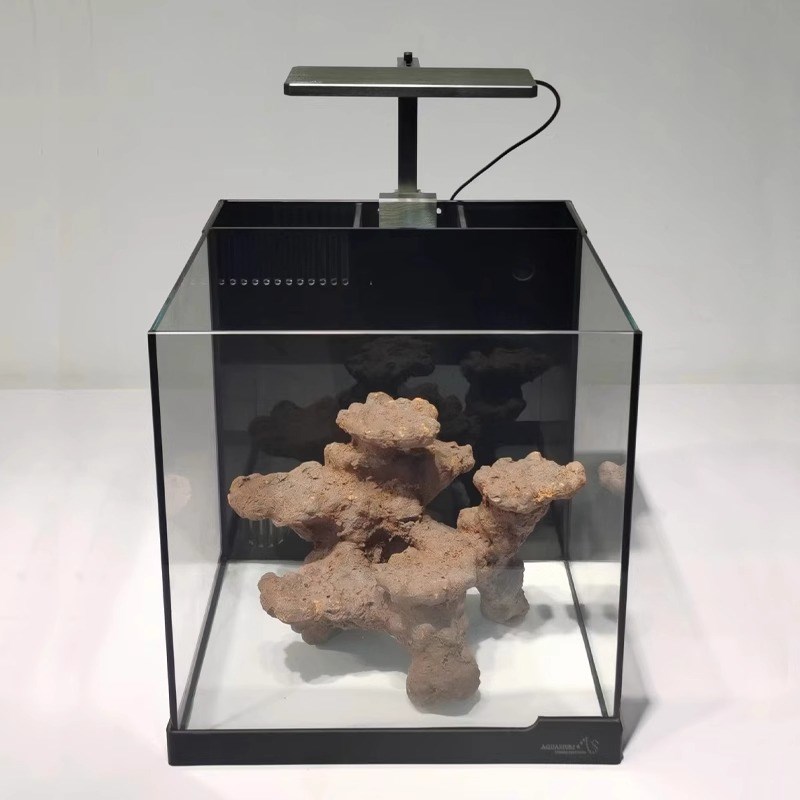 新手海水鱼缸小丑海葵缸微小型珊瑚缸背滤缸客厅桌面缸水族箱全套