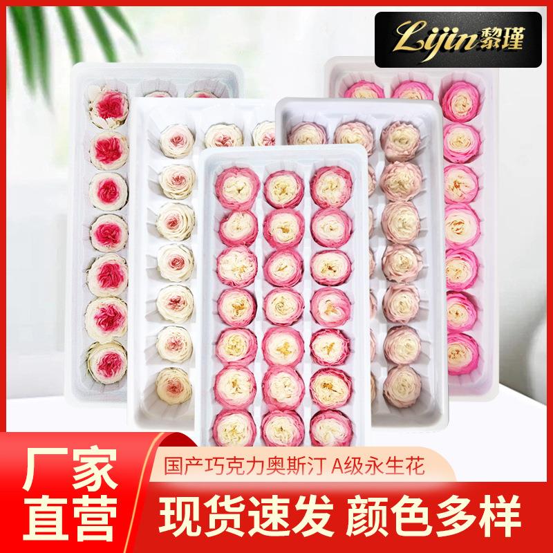 国产巧克力奥斯汀A级永生花 圣诞节生日礼物玫瑰花礼品永生花花材