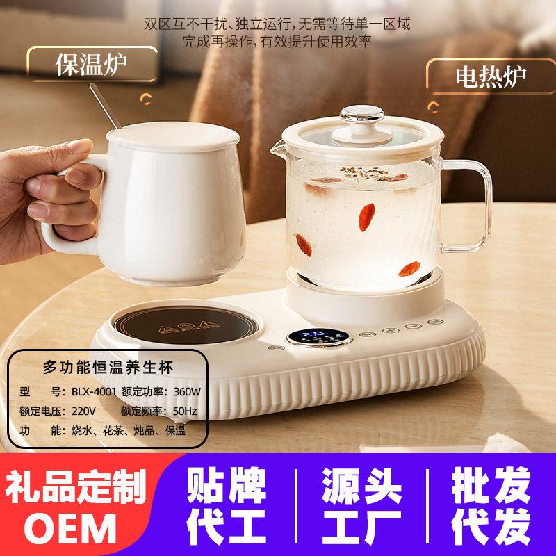 双炉电热杯公室养生杯小型加热水杯养生壶迷你型烧水花茶玻璃壶
