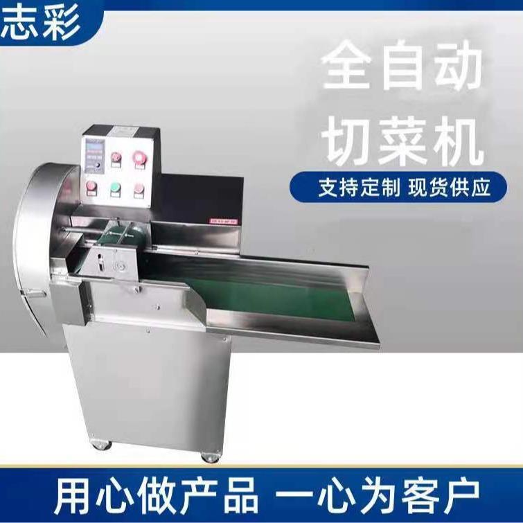 现货土豆萝卜球茎类切丝切丁不锈钢果蔬加工设备801单头切菜机