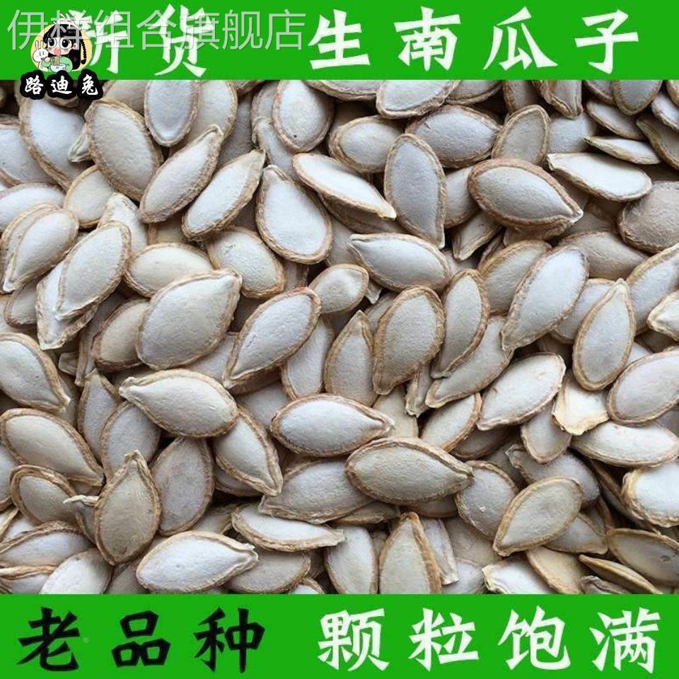 生南瓜子土南瓜籽随州洪山特产农家南瓜子带壳原味新鲜生瓜子