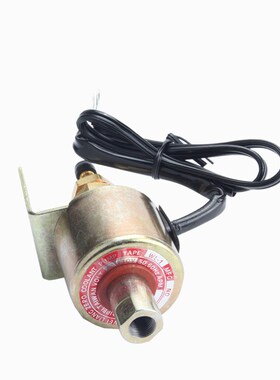 台湾WLP维良 电磁泵 WL-1/110 220V磨床油泵 平面磨床油泵