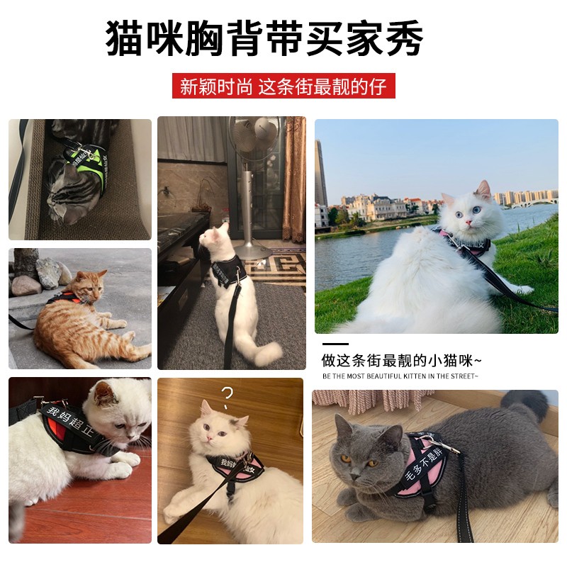 遛猫绳背心式可伸缩胸背带家用超长猫咪牵引绳可调节牵猫绳防挣脱