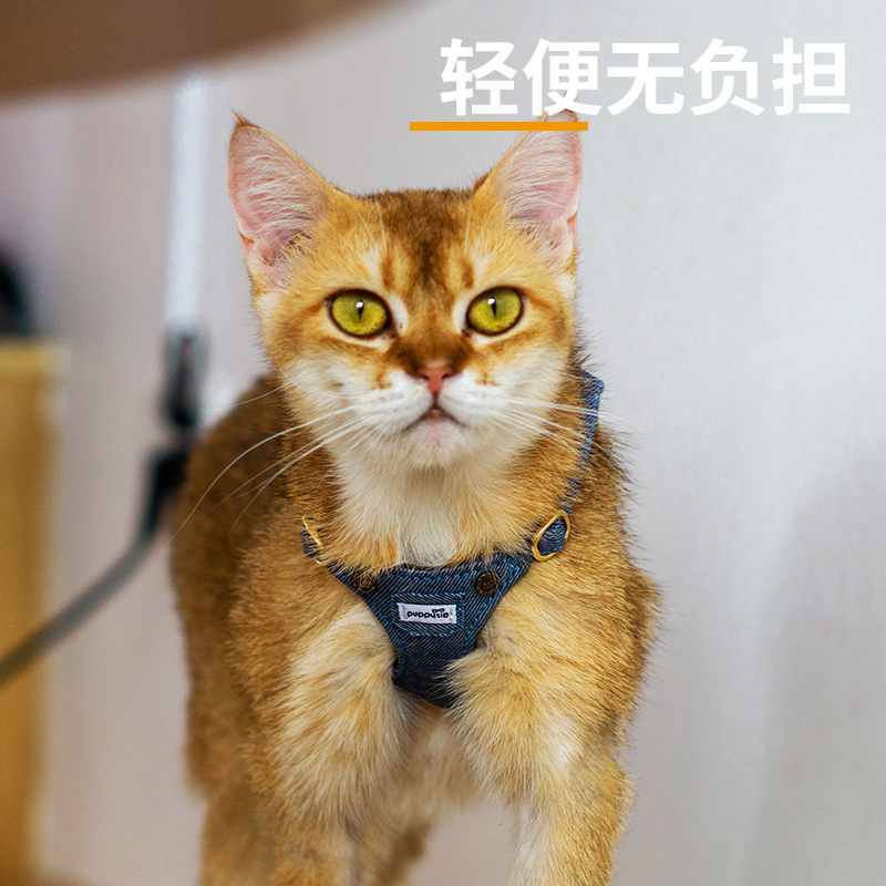 猫咪牵引绳背心式胸背带外出防挣脱溜猫绳子栓猫链子宠物用品