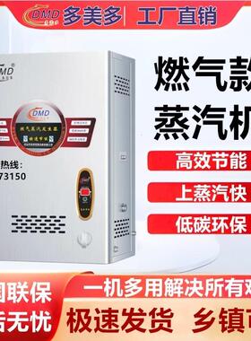 多美多燃气蒸汽机壁挂墙式蒸汽发生器DMD-B-RZQ-50-60-70-80-100