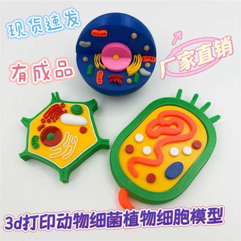 3d打印动植物细胞模型生物科学实验器材教师道具AAA益智趣味礼物