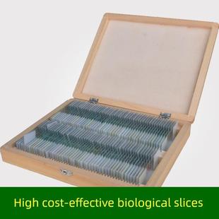 生物切片标显微镜标本实验玻片永久装片细胞载玻片25 50 91 100片