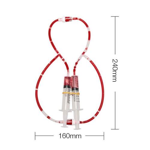 儿童认识人体器官血液循环模型教具图初中生物小学生医学实验器材
