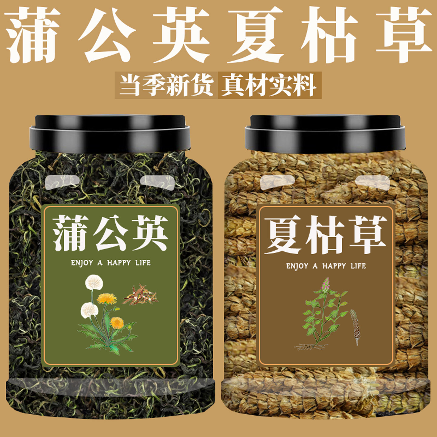 蒲公英和夏枯草新鲜中药材非野生官方旗舰店泡水白毛夏枯球夏估草